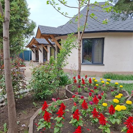 Happy Nomads Yurts & Hostel カラコル エクステリア 写真