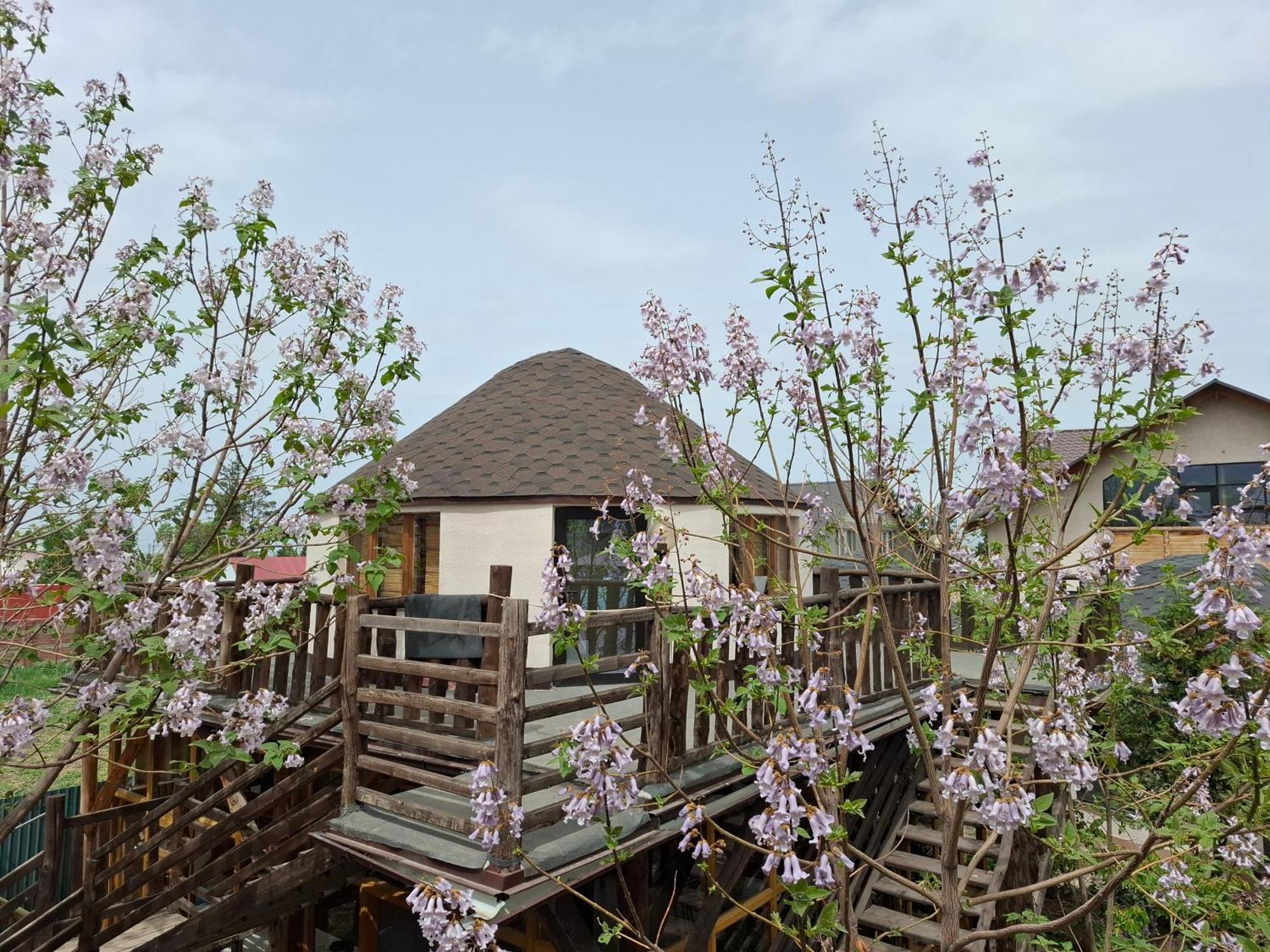 Happy Nomads Yurts & Hostel カラコル エクステリア 写真