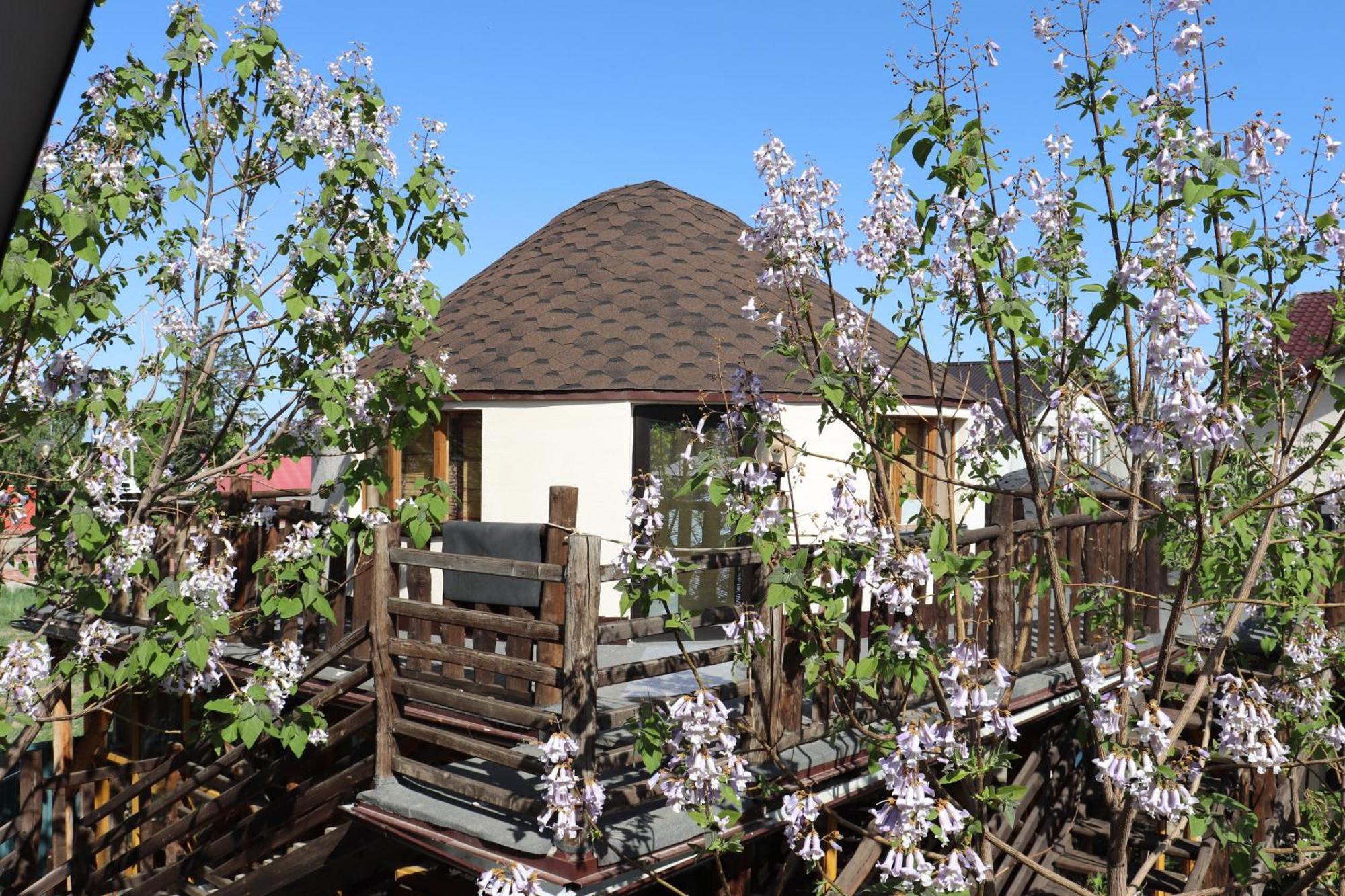 Happy Nomads Yurts & Hostel カラコル エクステリア 写真